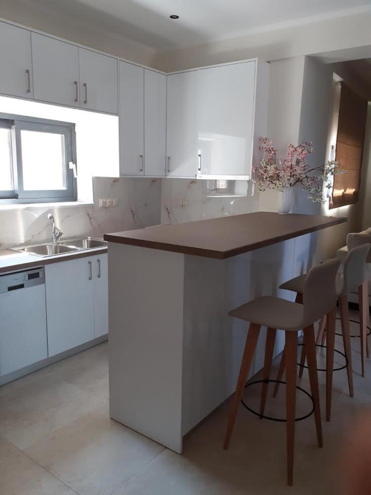 ניקיאנה Ionian Stone Luxury Villa מראה חיצוני תמונה