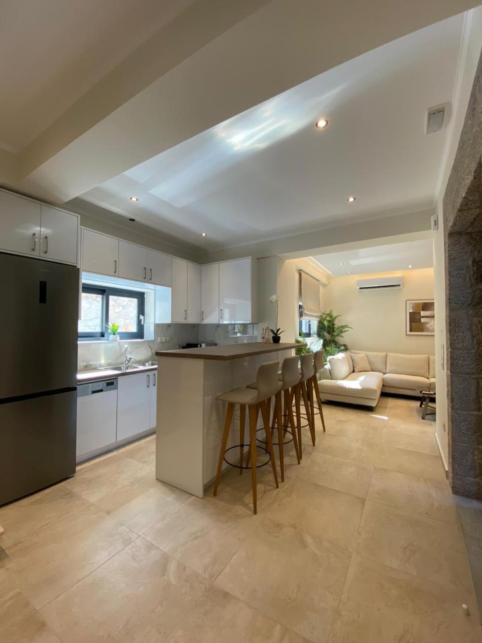 ניקיאנה Ionian Stone Luxury Villa מראה חיצוני תמונה