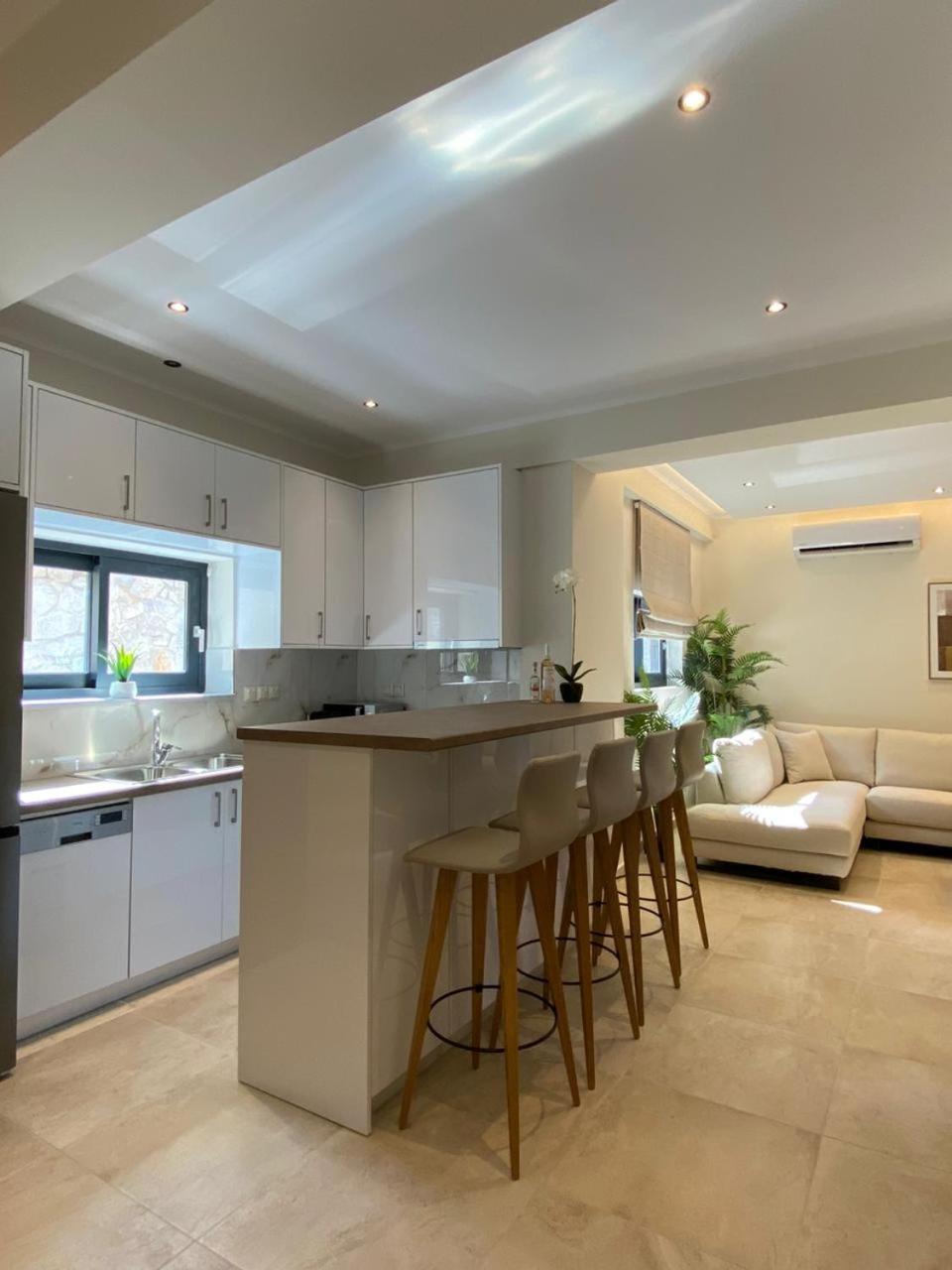 ניקיאנה Ionian Stone Luxury Villa מראה חיצוני תמונה